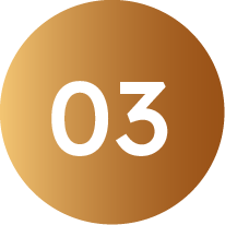 Paso 03