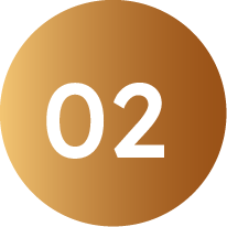 Paso 02